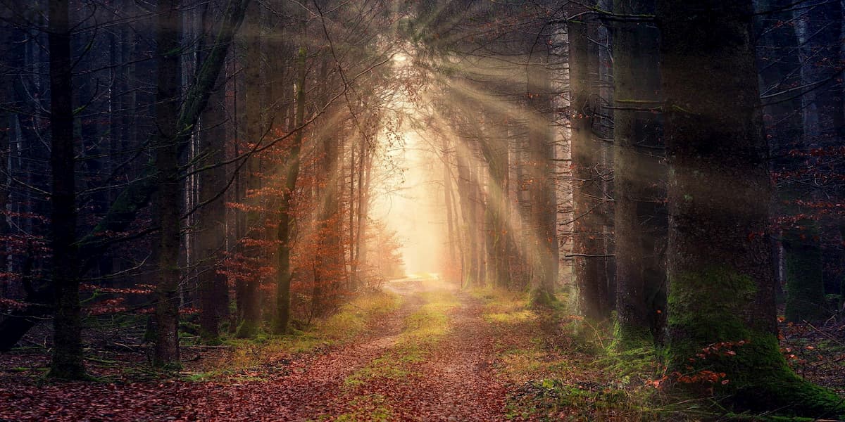Coronavirus Silver Lining –Life Renewal through Existential Crisis - Celestial Twin Life Mentorship